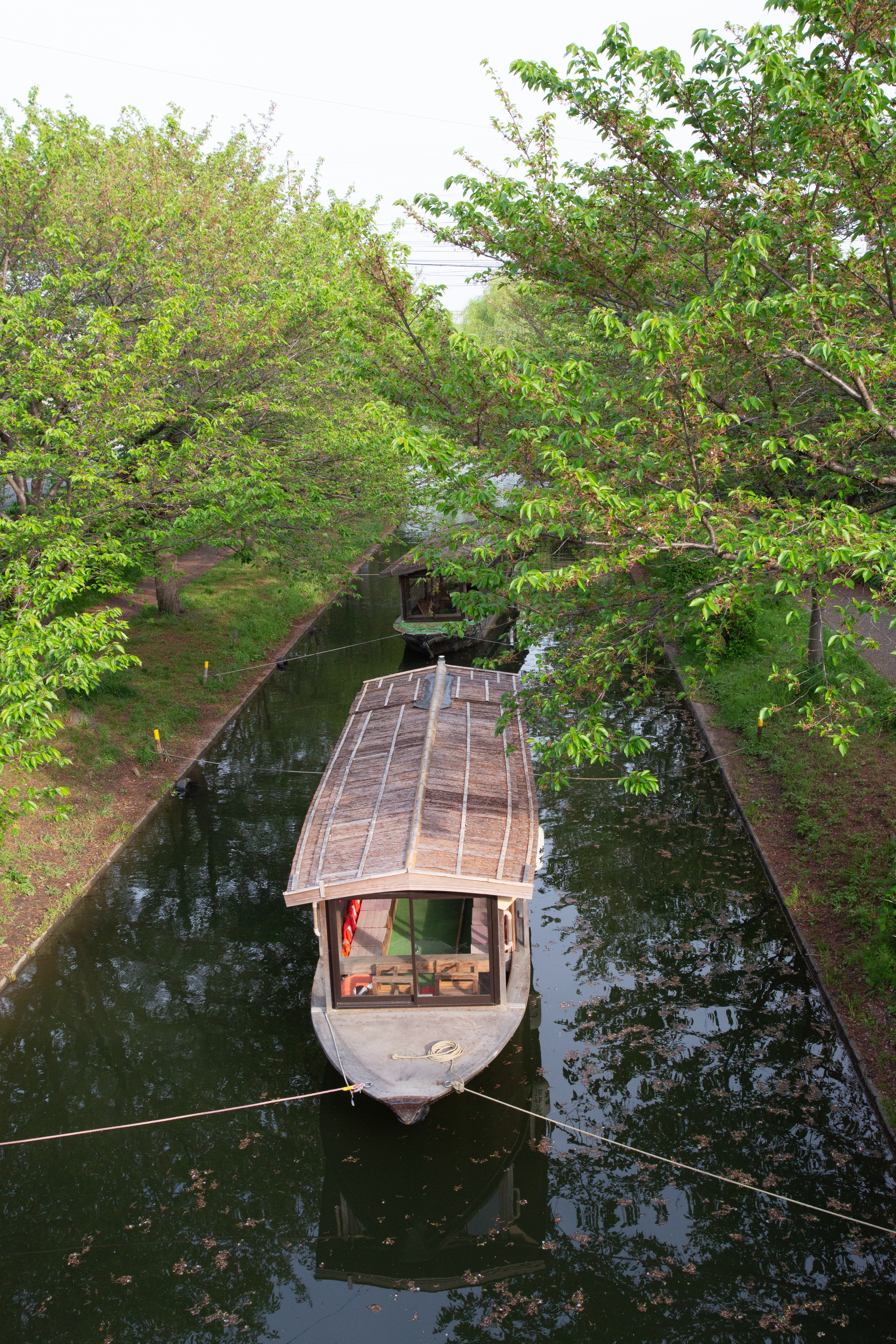 Kerala Backwaters