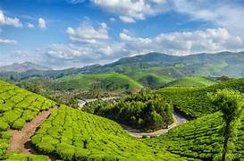 Munnar Thekkady Alleppey Tour