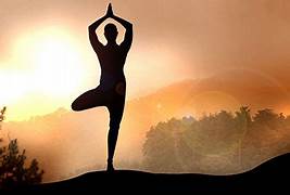 Kovalam Ayurveda Tour