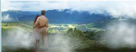 Munnar Honeymoon Tour