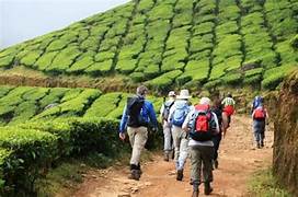 Munnar Trekking Tour