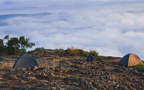 Wayanad Camping Tour