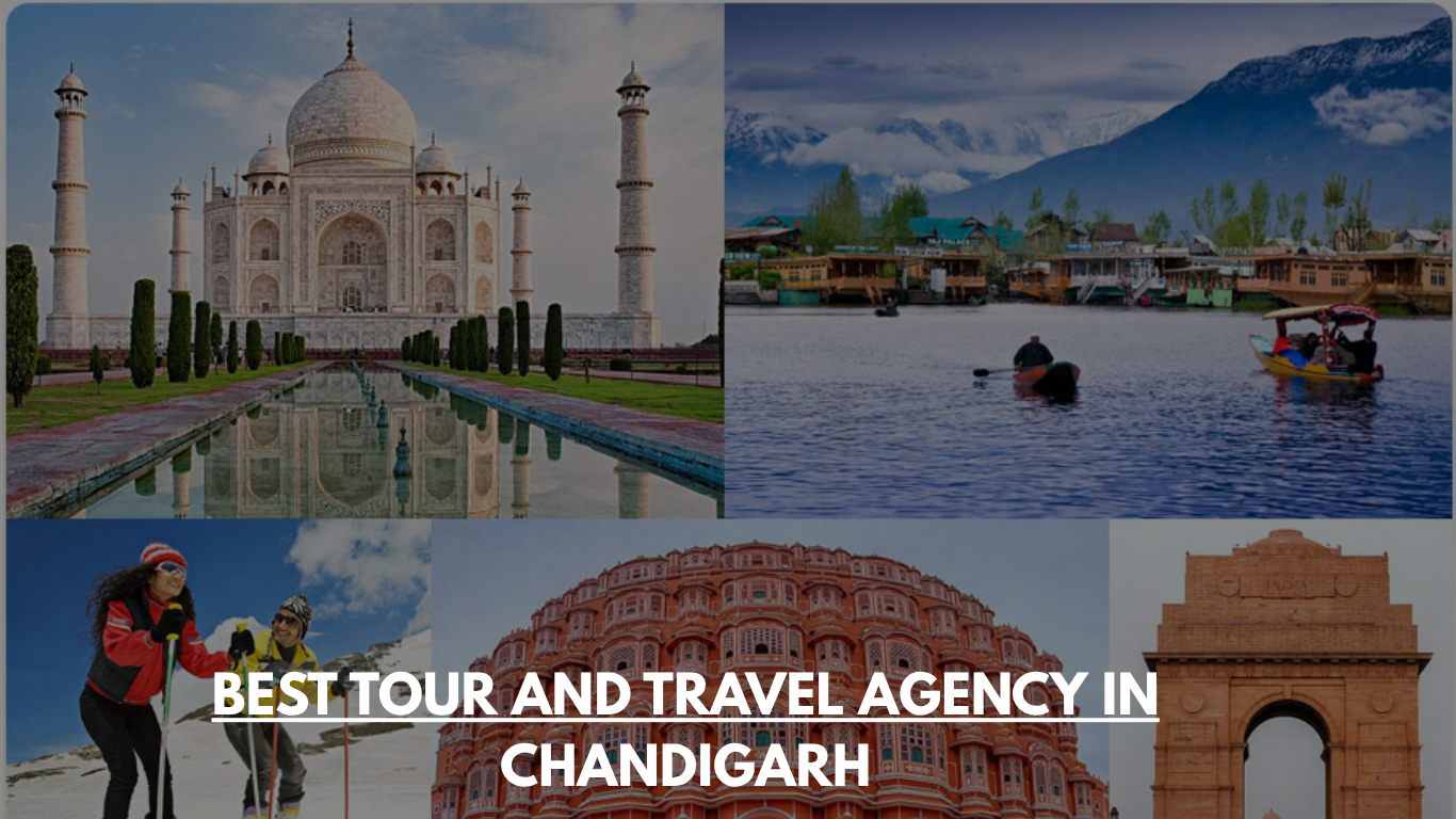 Best Tour and Travel Agency in Chandigarh